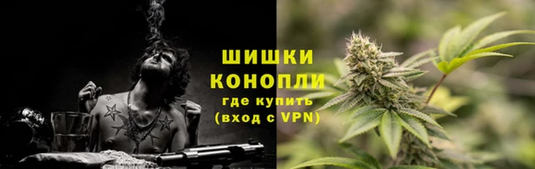 мет Лагань