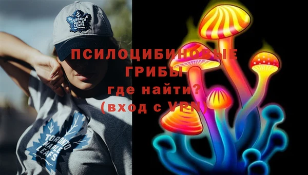метадон Ладушкин