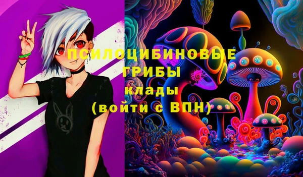 метадон Ладушкин